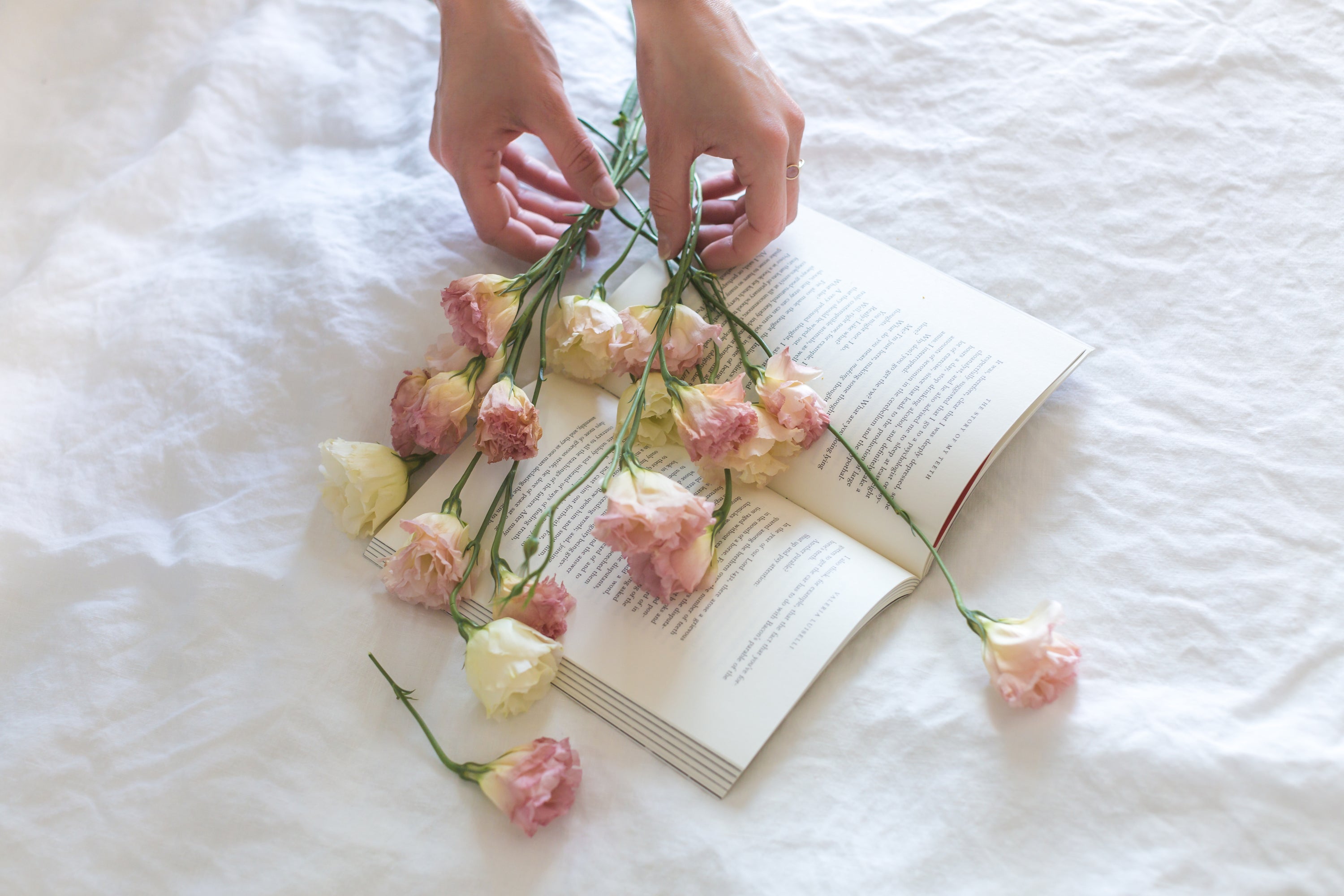 roses on a book